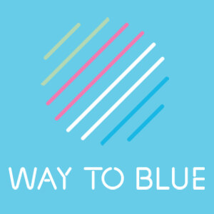 Way to Blue Development Capital Fundraise | SI Global